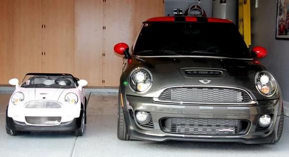 Mini and baby Mini