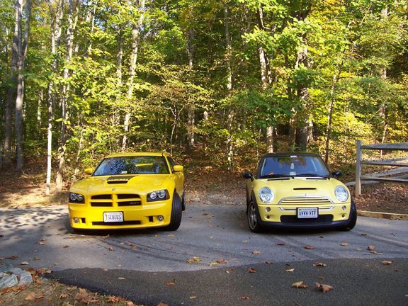 Detonator Yellow vs Liquid Yellow