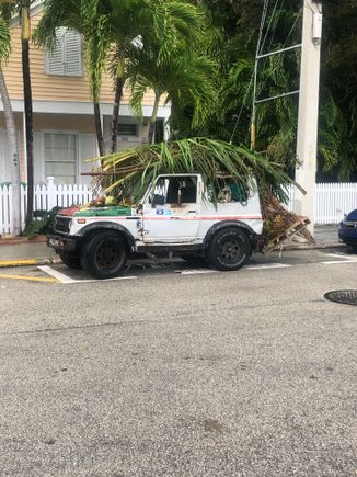 Here is a authentic local image....Key West Camp........😂