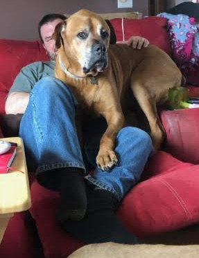 I had to put my buddy Magnum down a couple days ago. He was a mastiff/boxer mix I think..Ill never know since he was a rescue. Been hard to be a work the past couple days and will be for a long time.