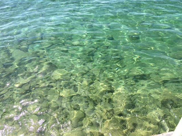 swimmers itch torch lake