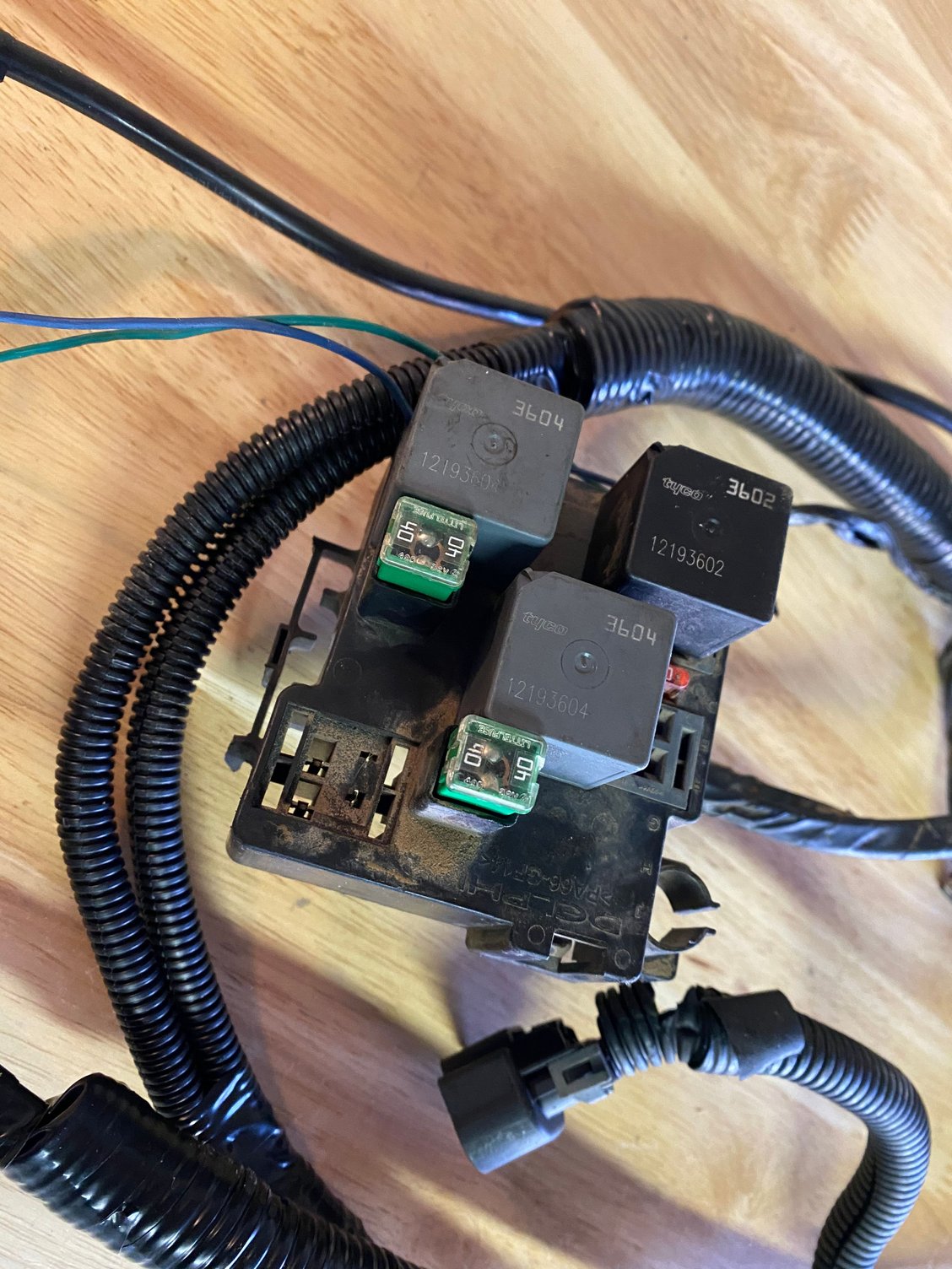 2006 OEM Electric Fan Harness - PerformanceTrucks.net Forums