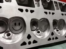 5.3 862 heads with 2&quot; LS1 valves and ported