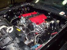 ls13