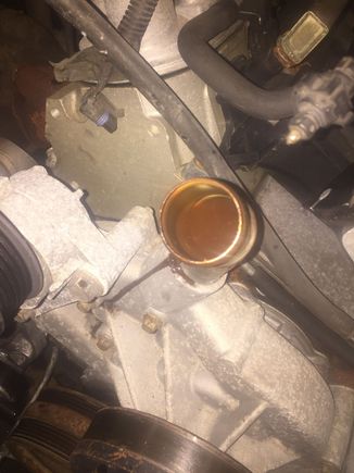 Thinking well water was a bad idea, not that i had thought about it at the time:bang: