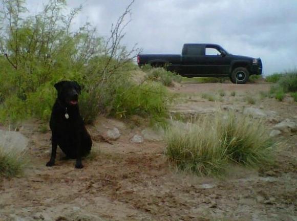 Only one I could find of the work truck.. but its a 1st gen Duramax 2002 sierra 2500HD