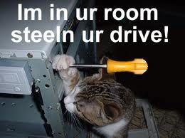 Hacker Cat
