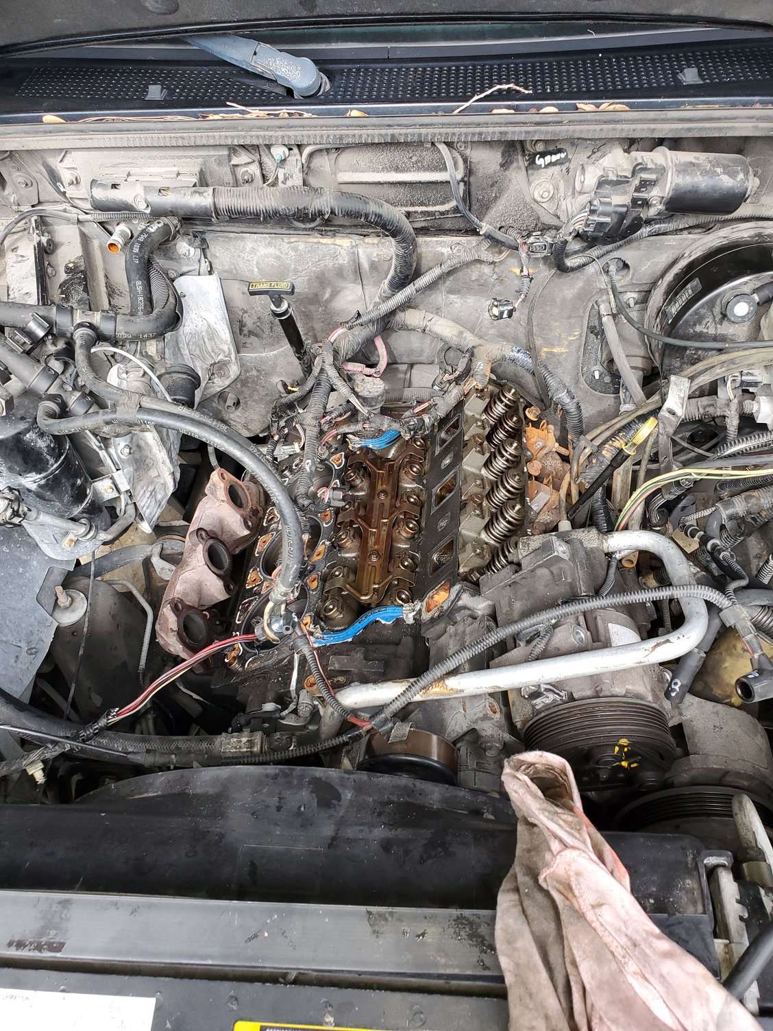 Water steaming from PVC valve opening 3.0 2003 Ranger - Ranger-Forums