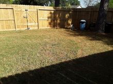 Pine needles on track-before