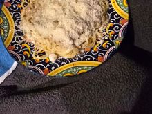 Angle hair pasta w/white clam sauce and lots of cheese .