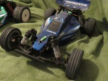 Sand Viper