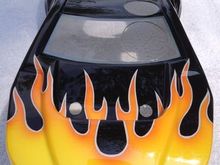 Eddie's MBX6TR Bulldog Body 3