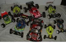 some of the herd