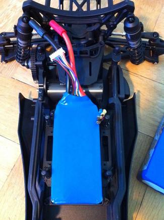 photo 3 (20)