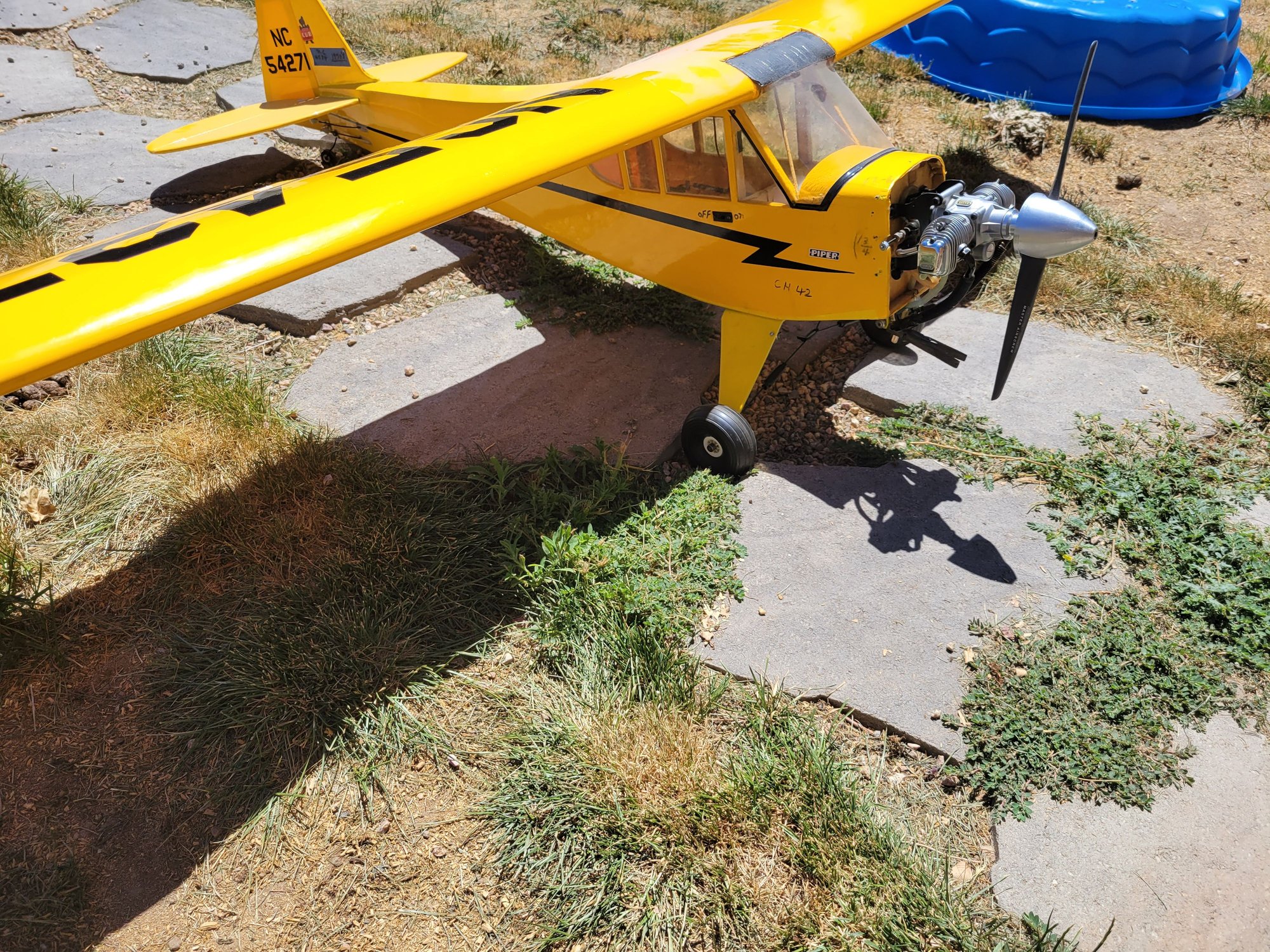 Piper Cub Rangerub Rankings Dallas - zbjlmog