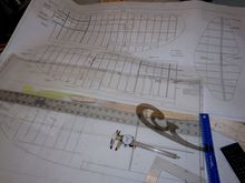 Enlarging the wing plan 107%