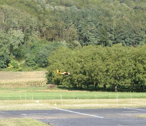 Gerard's model in the caisse baguettes.