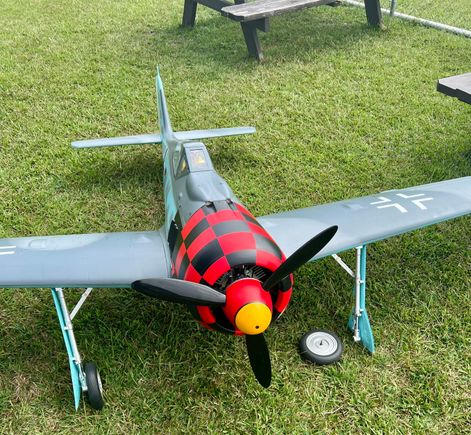 The one and ONLY screw I forgot to locktite. I actually landed the plane with no damage and walked over and picked up the wheel.  I fell of at about 350 feet!