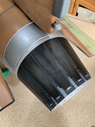 Turkey feathers mounted