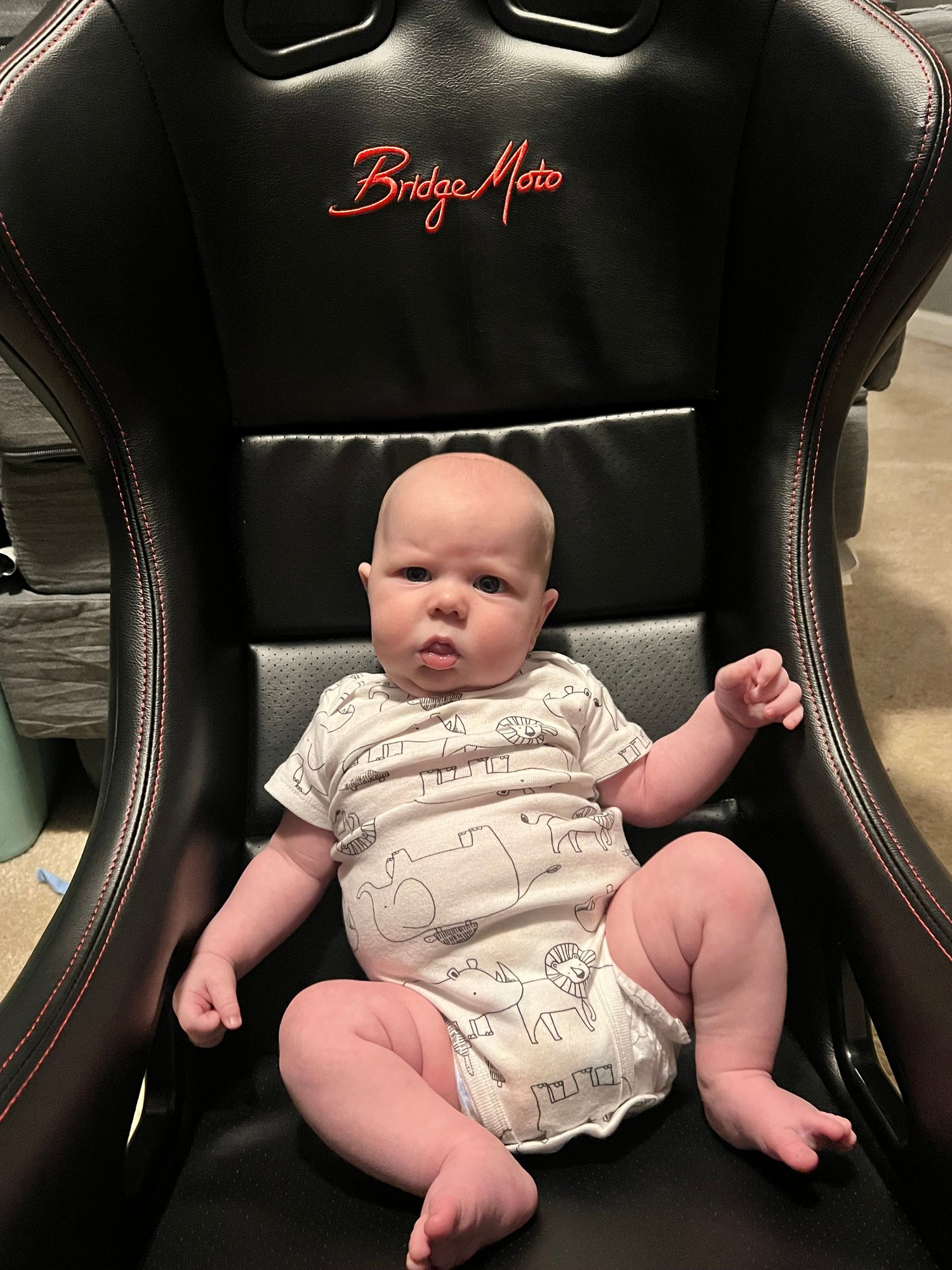 Interior/Upholstery - Fixed back seat rails - New or Used - All Years  All Models - Indianapolis, IN 46221-9404, United States