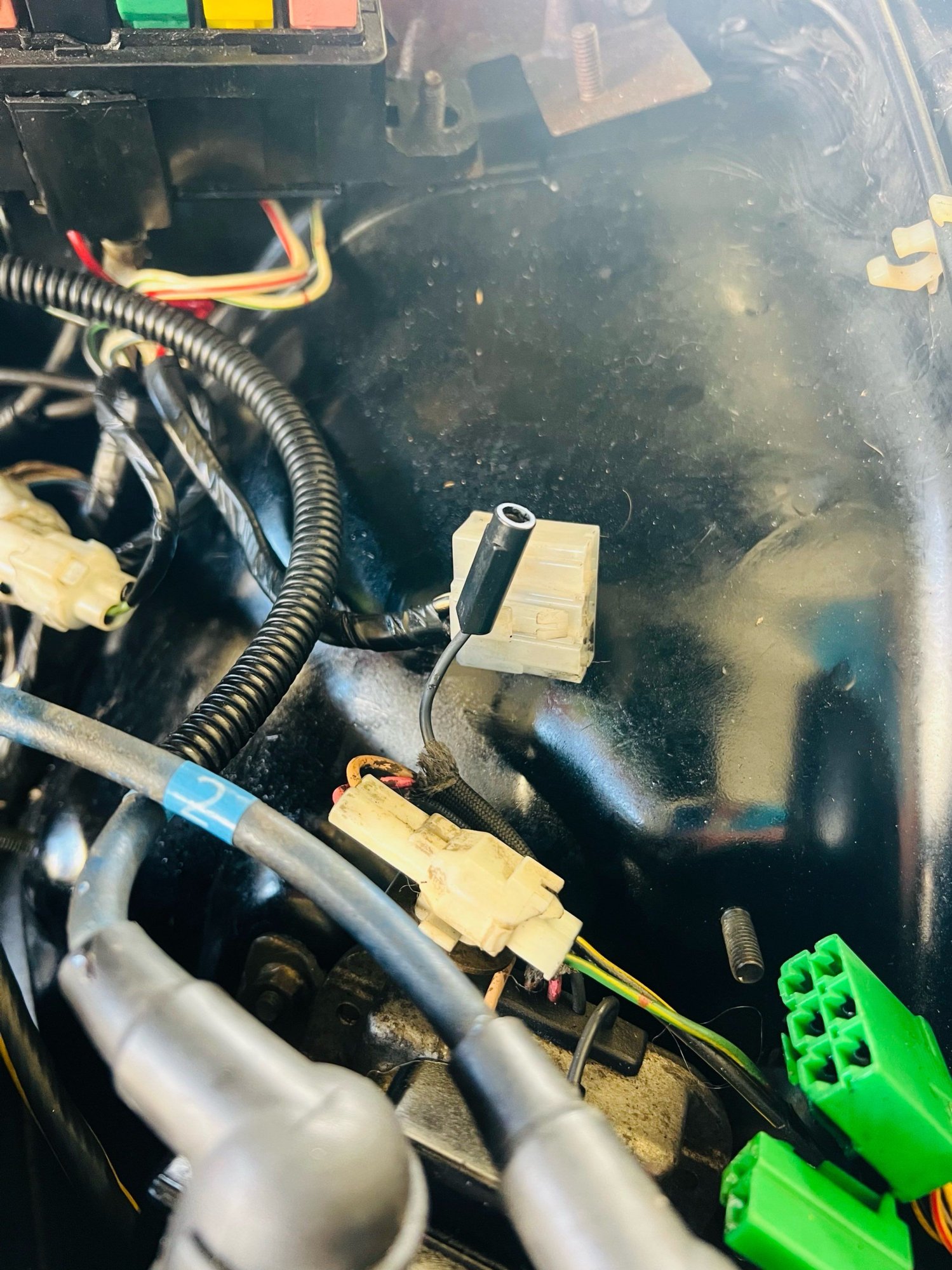 Coil Bullet connector