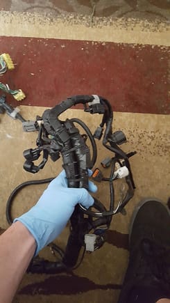 Wiring Harness. Harness only has about 2000 miles on it. I had to change the Primary injector plugs to the ID 1000 plug types and a couple of the wires that connect to the ECU were cut in order to make use of the APEXi AVCR. I will sell this cheap because I am not going to look up the cut wires and determine what they are. - 200