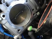 After Pic of throttle body cleaning