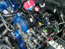 Blue82 build