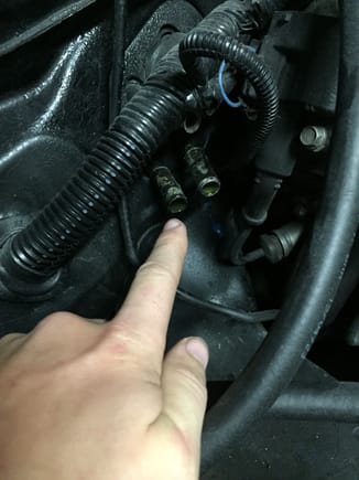 nipples to the heater core, need capped