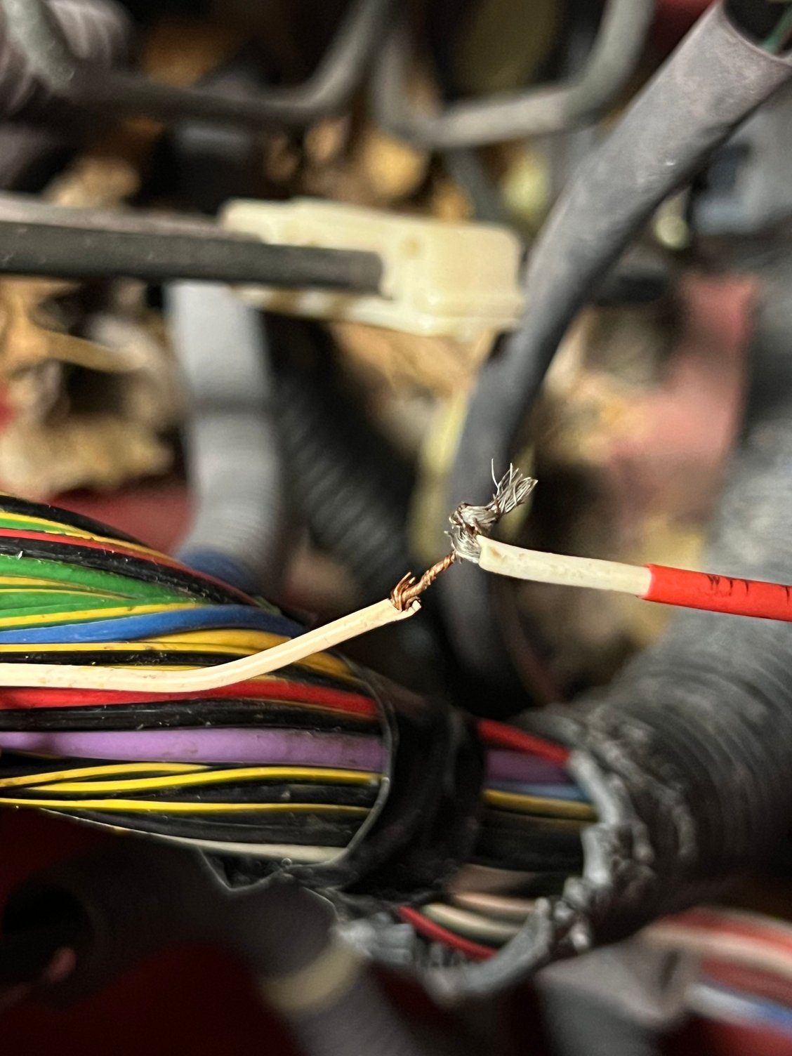 This what the damaged wire looked like. 
