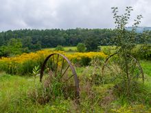Wagon left on roadside