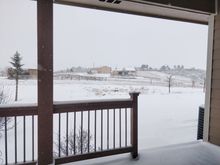 
^1-21-2018.  This was the first snow deep enough to hide the grass.