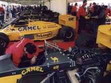 Lotus-1.JPG