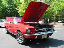 Mustang 2.jpg