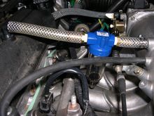 DSCN4379.JPG