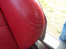 100_0540.JPG