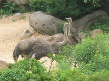 Zoo_5-30-04 014.jpg