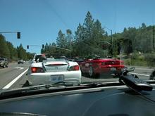 White and red butts.JPG