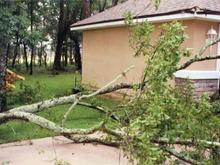 Across Driveway.jpg