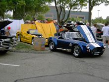 Cobra