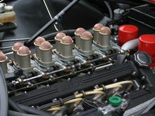 IMG_6884.JPG