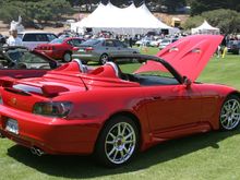 IMG_7019.JPG
