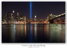 Tribute in Light WP 11