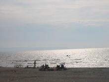 Wasaga Beach Shoreline