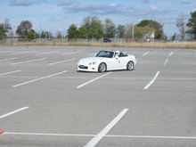 IMG_4851.jpg