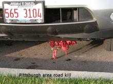 Pittsburgh roadkill sm.JPG