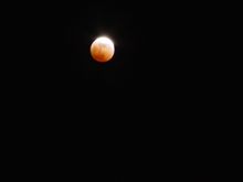 DSC04022.JPG