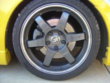 DSC03602.JPG