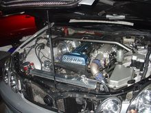 DSC00566.JPG
