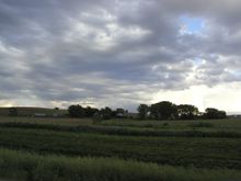 Iowa field4.jpg